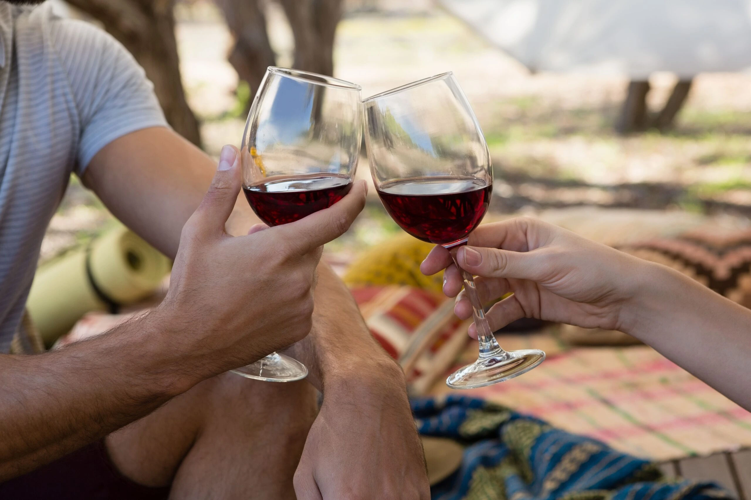 gens qui trinquent avec du vins rouges