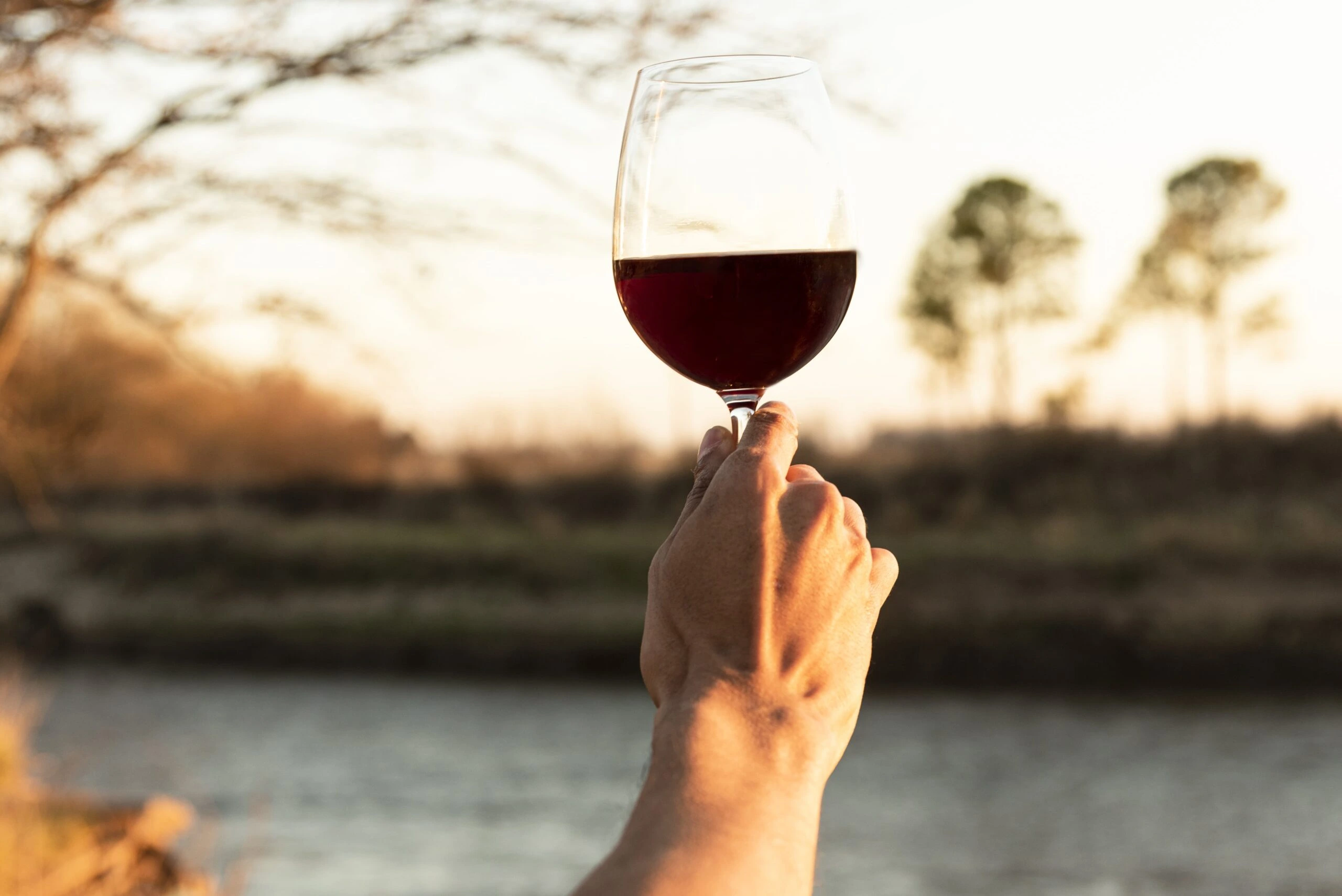 verre de vin rouge verre de vin rouge