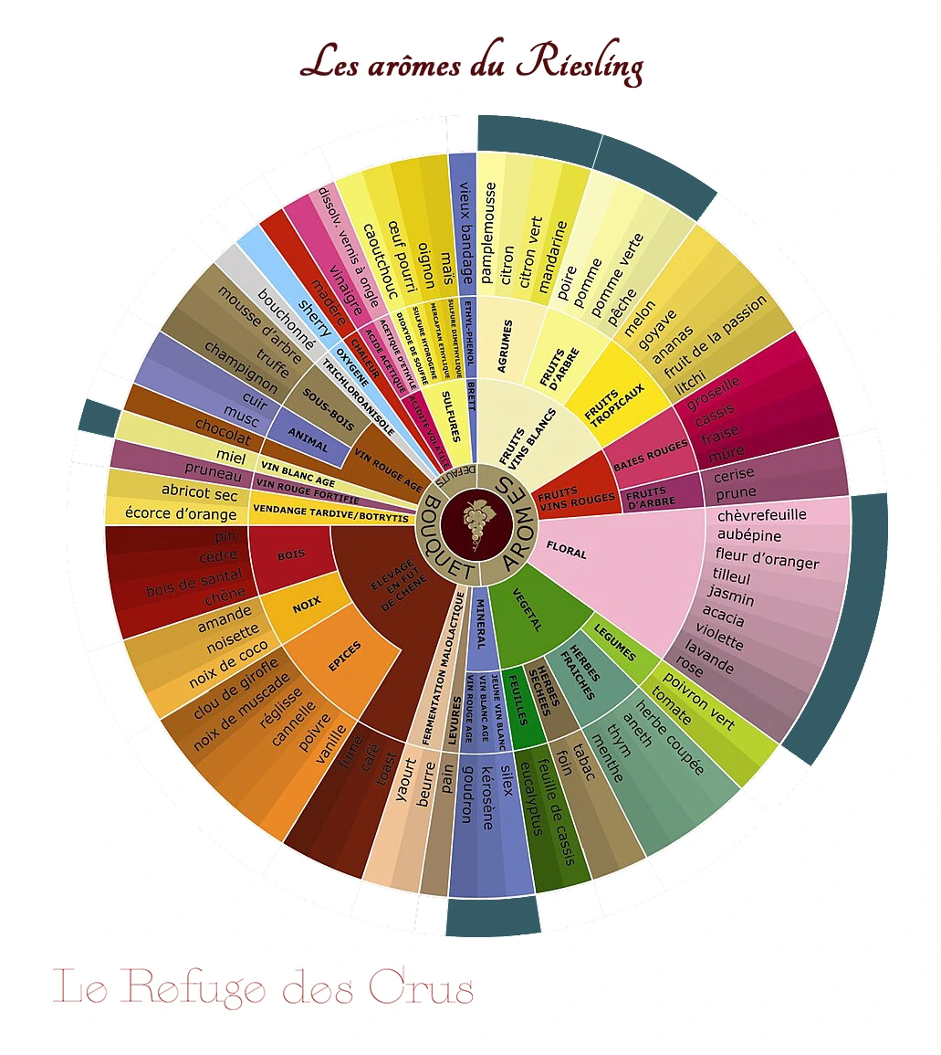 roue-des-aromes-du-riesling