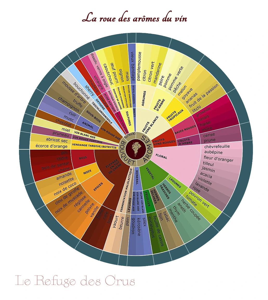 roue-des-aromes-du-vin roue-des-aromes-du-vin