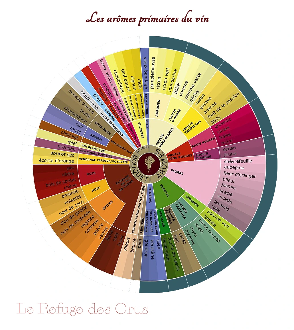 roue-des-aromes-primaires-du-vin roue-des-aromes-primaires-du-vin