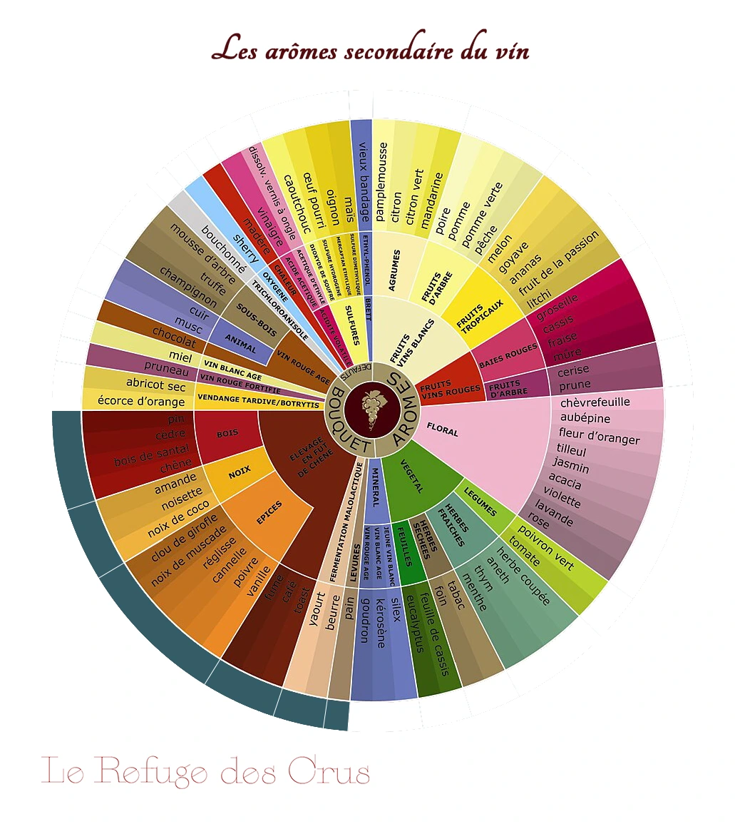 roue-des-aromes-secondaires-du-vin roue-des-aromes-secondaires-du-vin