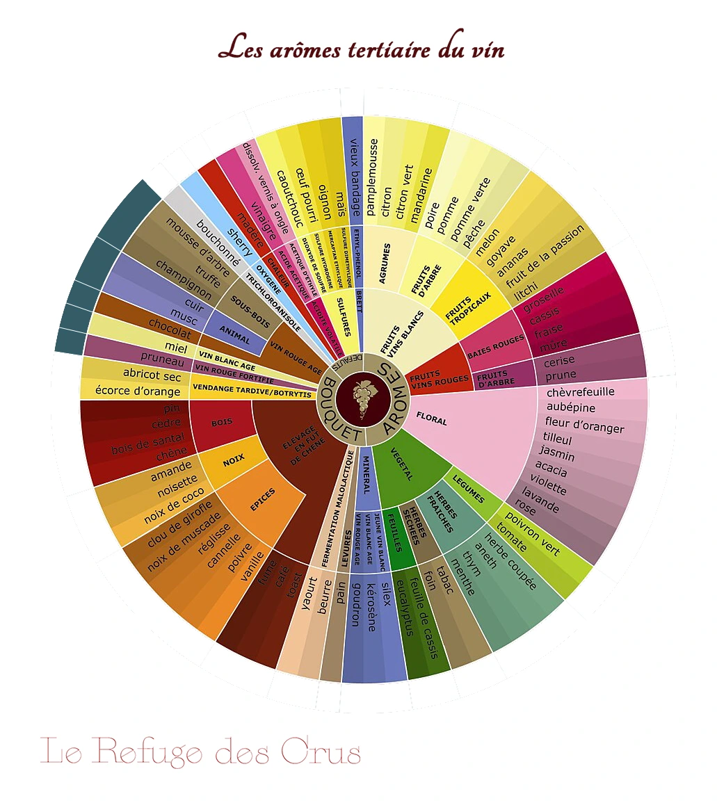 roue-des-aromes-tertiaire-du-vin roue-des-aromes-tertiaire-du-vin