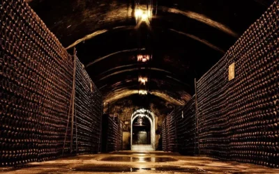 Vieillissement sur lies en Champagne : rôle et goût