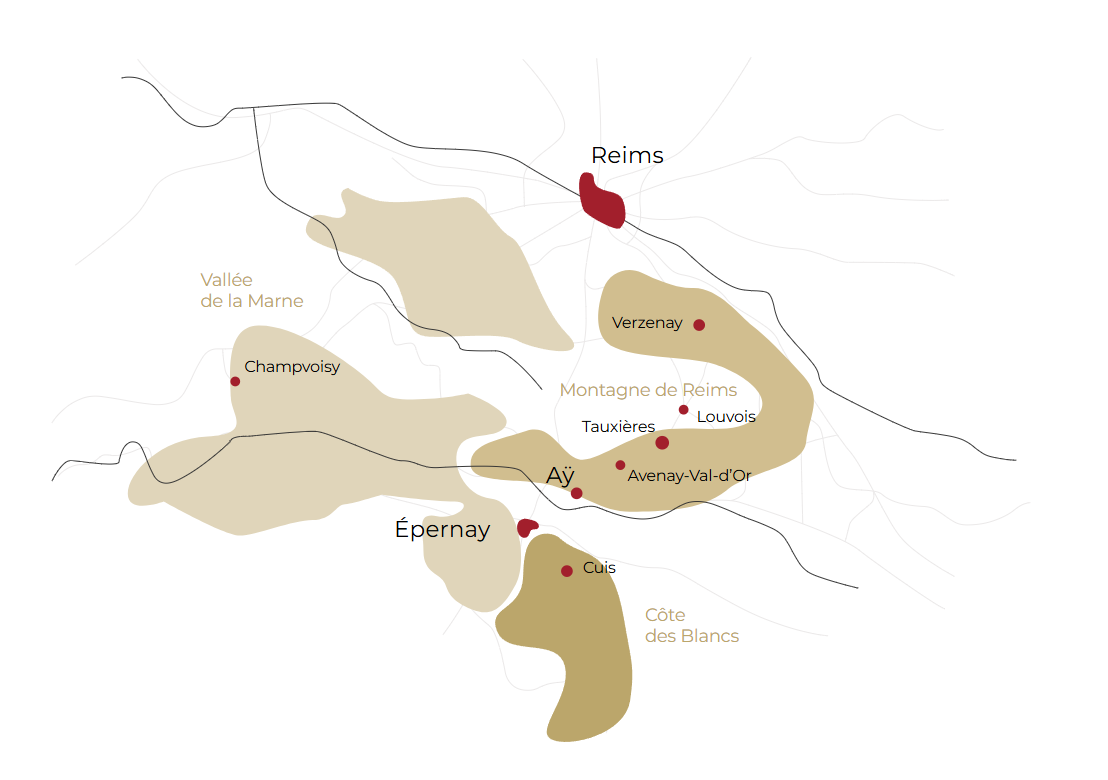Vignoble du champagne bollinger Vignoble du champagne Bollinger