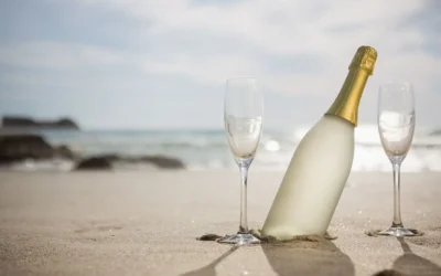 Vinification du champagne : comprendre chaque étape, simplement