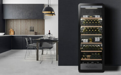 Protégé : Pourquoi certains vins vieillissent bien : comprendre le potentiel de garde