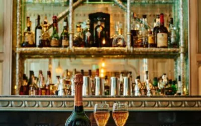 Le Millésime 2004 en Champagne : avis et cuvées notables