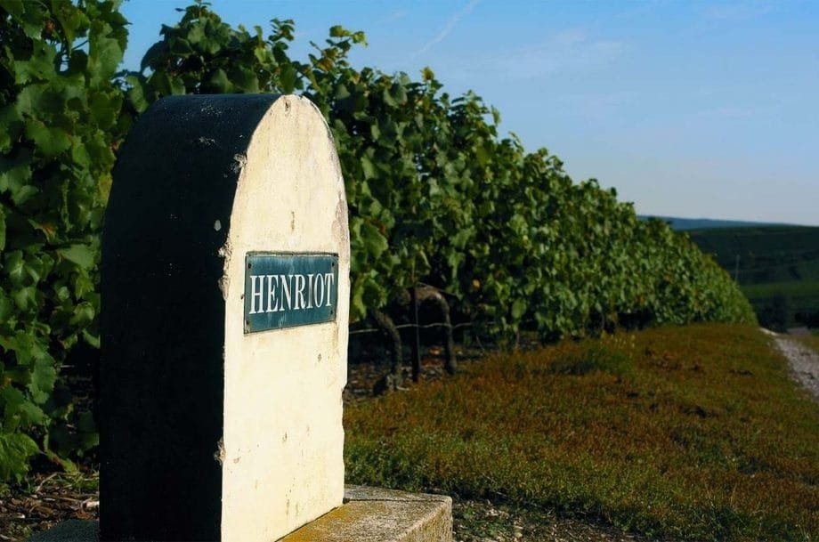 Parcelle de vigne champagne henriot