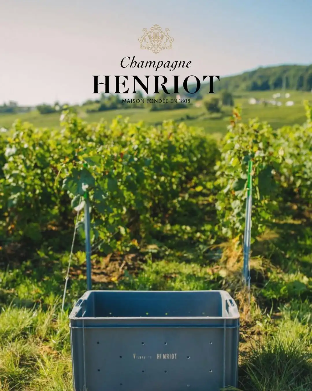 Vigne Champagne Henriot et logo