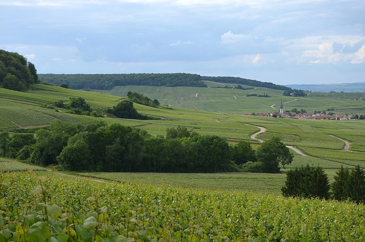 flanc nord de la montagne de Reims