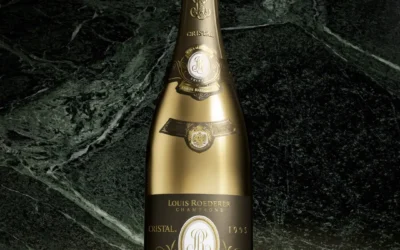 Le Millésime 1995 en Champagne : avis et cuvées de prestige