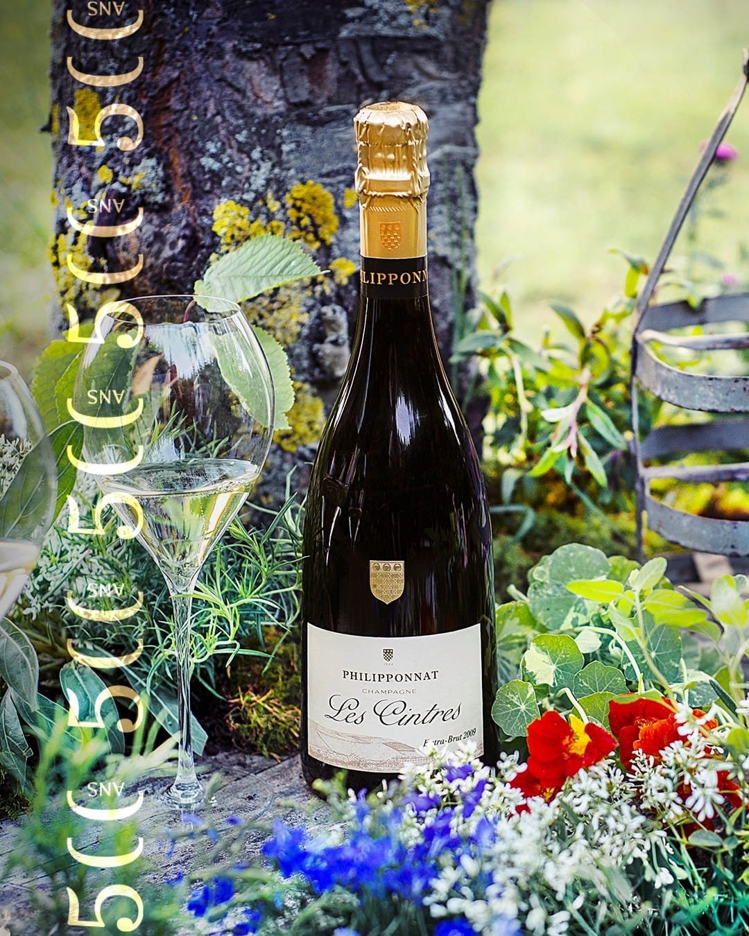 Champagne Drappier carte d'or